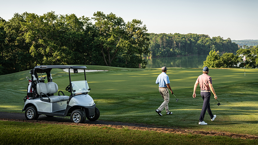 EZGO Golf RXV ELiTE