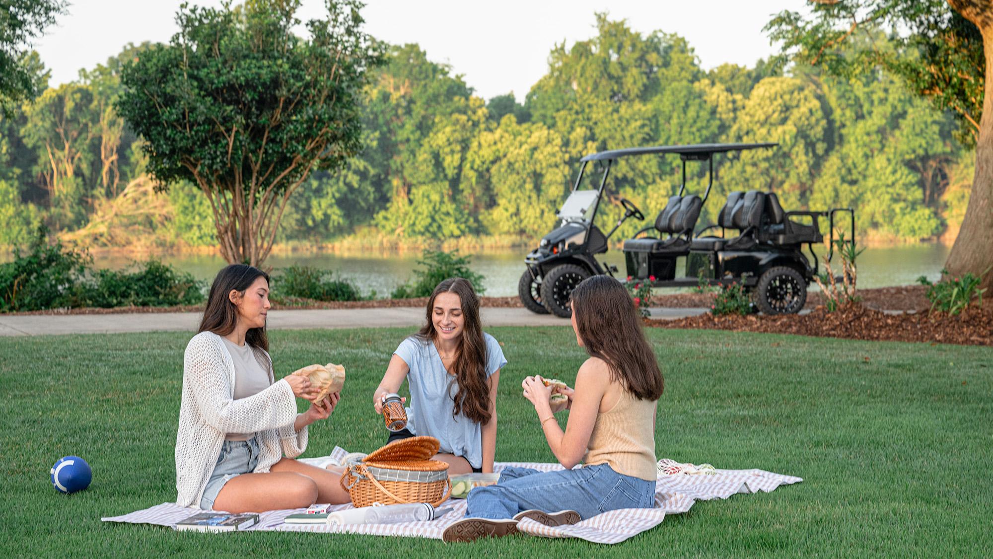 Family having a picnic in the park with an Express 6 in the background