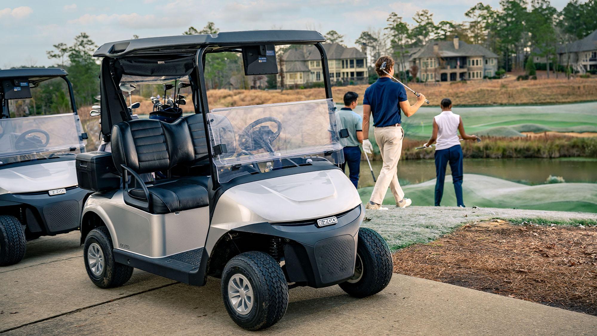 Gas golf cart / electric golf cart