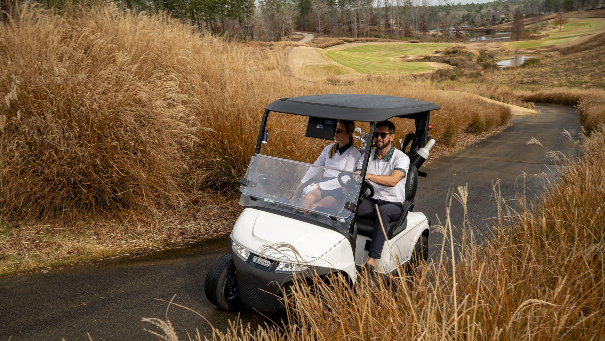 Freedom RXV Golf Cart Powertrain