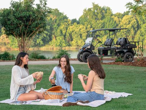 Family having a picnic in the park with an Express 6 in the background