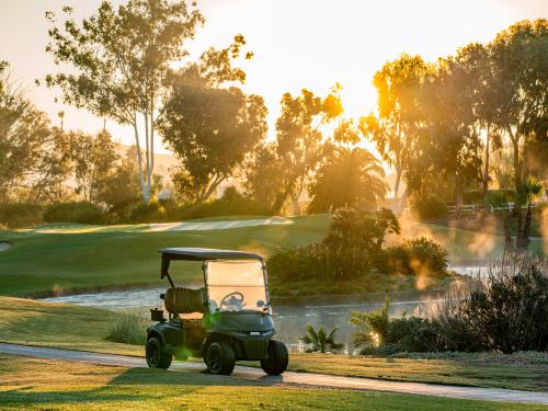 E-Z-GO Freedom RXV on a golf course